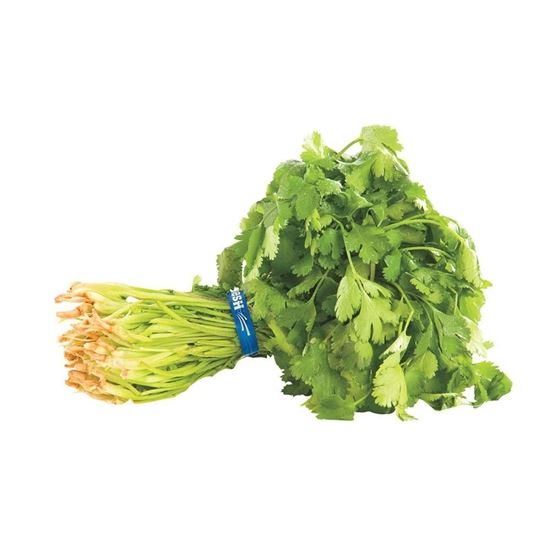 Imagen de Cilantro en manojo grande (300g aprox.)