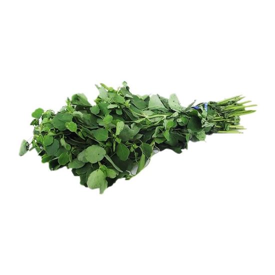 Imagen de Pápalo en manojo