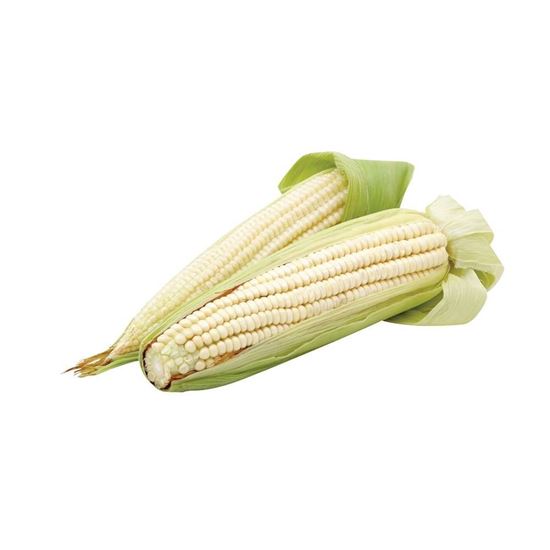 Imagen de Elote blanco grande