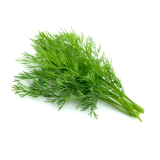 Imagen de Hinojo en manojo grande
