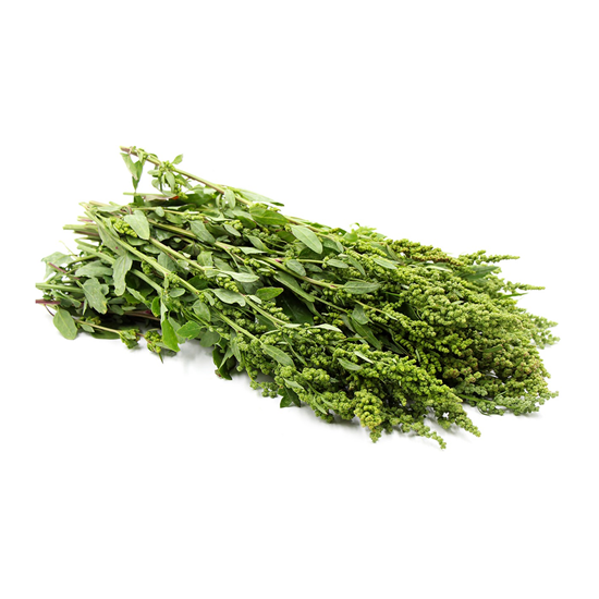 Imagen de Huauzontles en manojo de 1kg aprox.