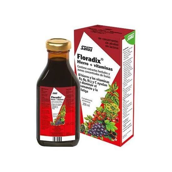 Imagen de Jarabe Floradix sabor a frutas (Hierro + vitaminas) 250ml