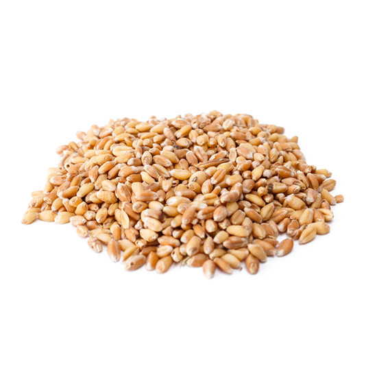 Imagen de Trigo seco a granel