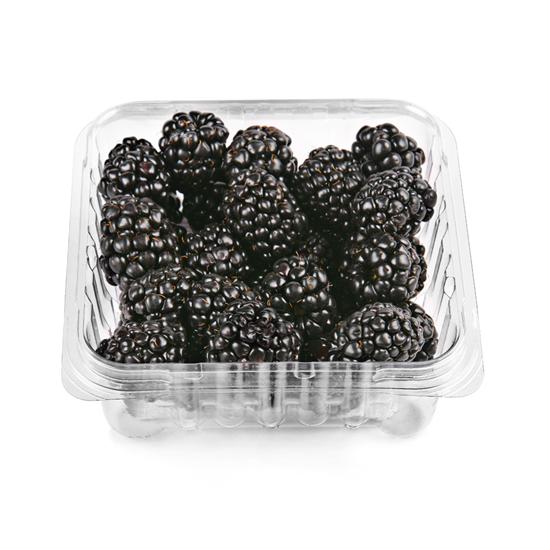 Imagen de Zarzamora en domo de 170g