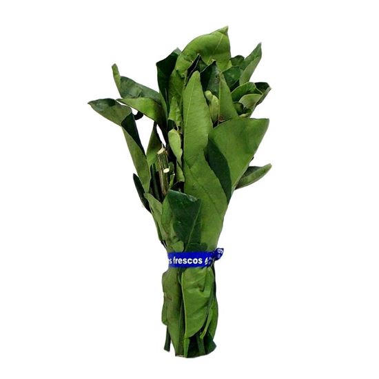 manojo-de-hoja-de-naranja