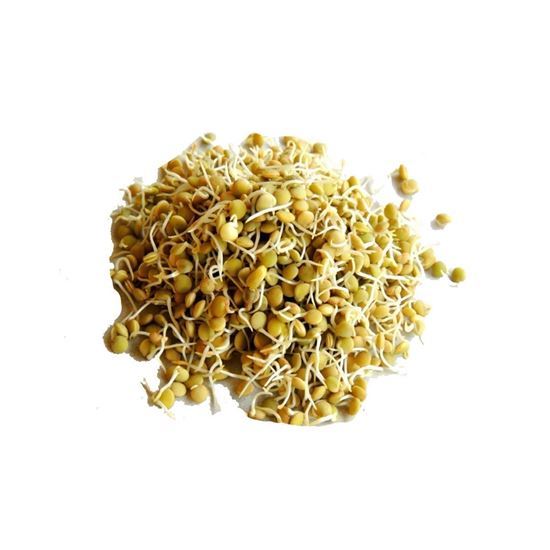 Imagen de Lenteja fresca a granel