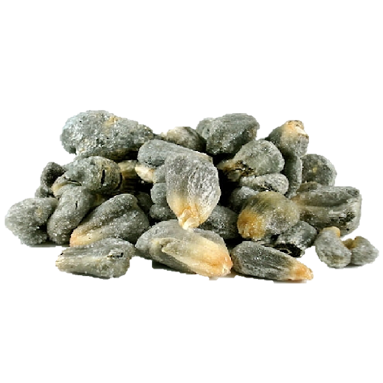 Imagen de Huitlacoche negro