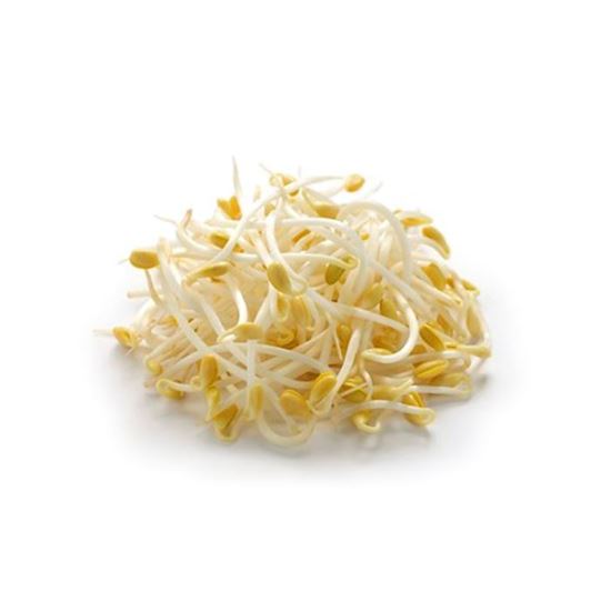 Imagen de Germinado de soya