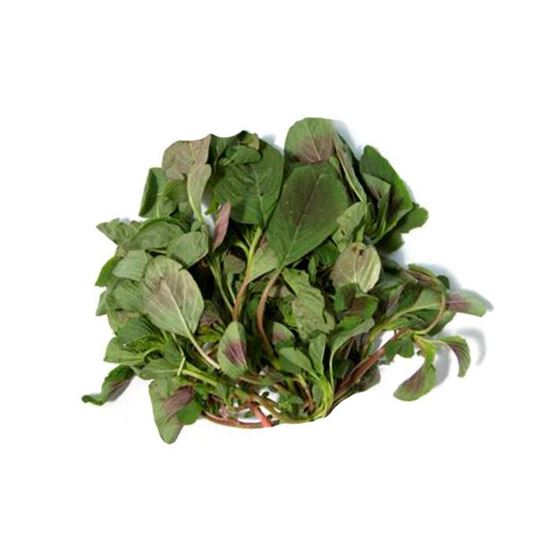 Imagen de Quintonil limpio