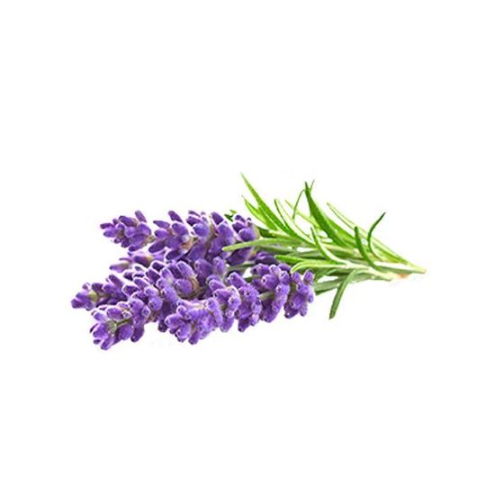 Imagen de Flor de lavanda comestible en domo