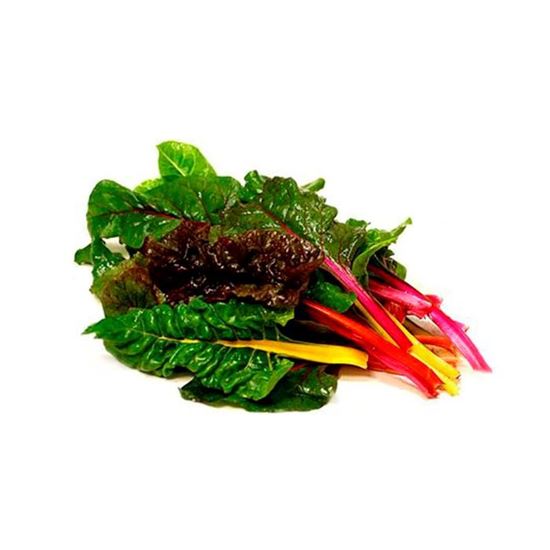 Imagen de Acelga arcoíris en manojo (1.5kg aprox.)