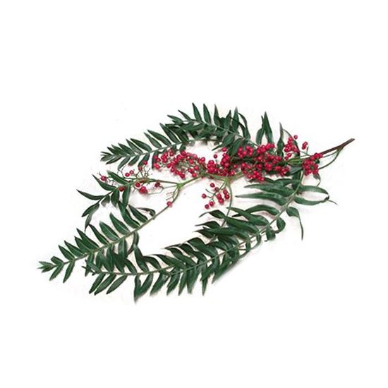 Imagen de Pirul en manojo de 350g aprox