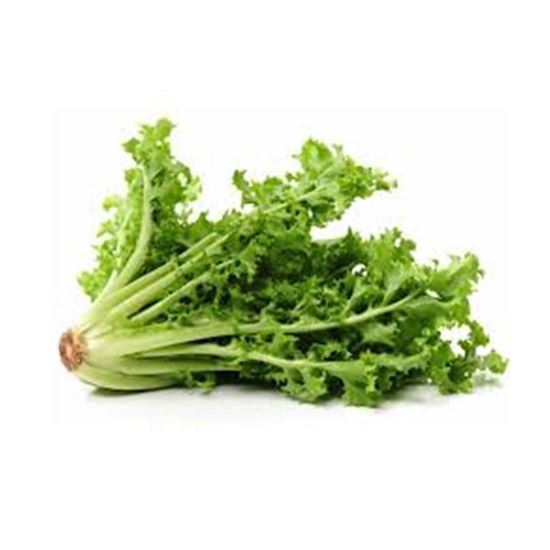 Imagen de Lechuga escarola baby