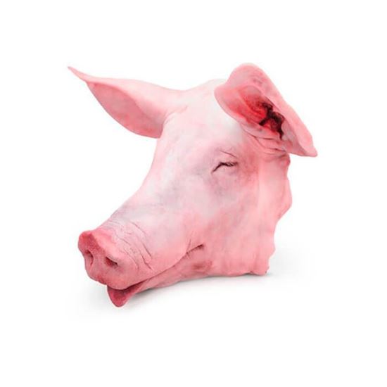 Imagen de Cabeza de cerdo