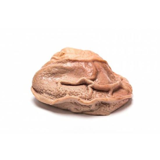 Imagen de Cuajo de res