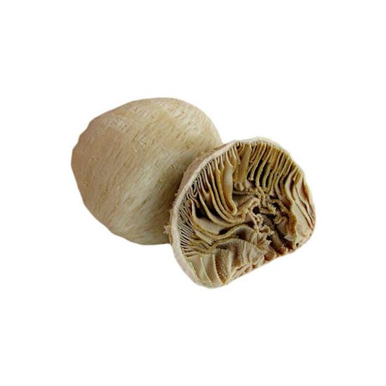 Imagen de Libro de res