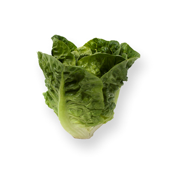 Imagen de Corazoncito o cogollo de lechuga
