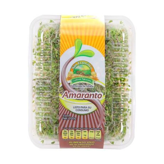 Imagen de Germinado de alfalfa con amaranto San Francisco en domo de 200g
