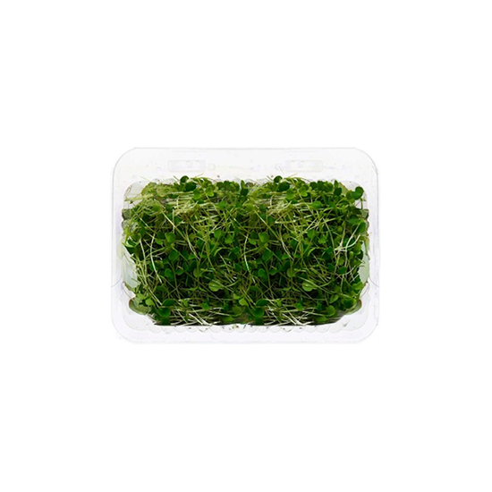 Imagen de Brote de arúgula en domo (35g aprox.)