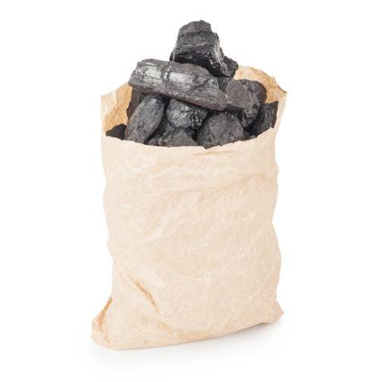 Imagen de Bolsa de carbón 2.5 kg aprox