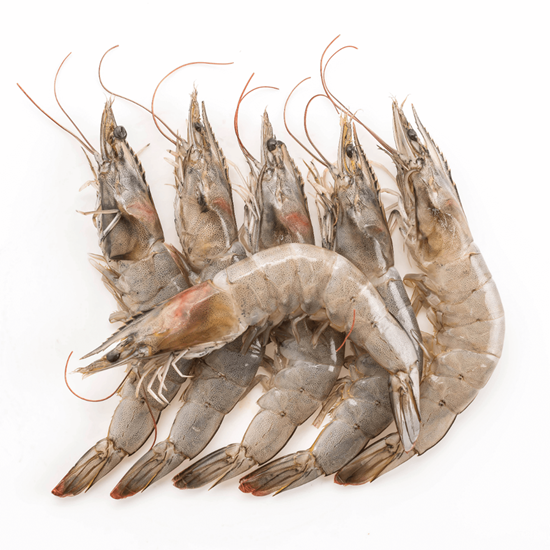 Imagen de Camarón extra con cabeza