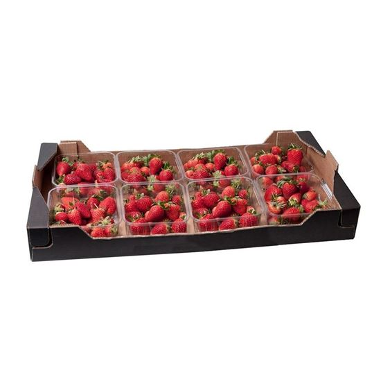 Imagen de Fresa nacional caja con 8 domos de 454g c/u