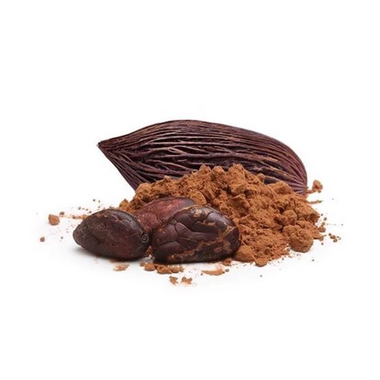 Imagen de Cocoa gourmet en polvo a granel
