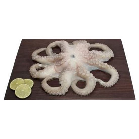 Imagen de Pulpo congelado sin víscera mediano (800g aprox.)