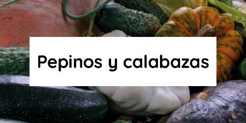 Ver productos en categoría Pepinos y calabazas