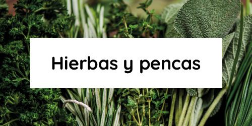 Ver productos en categoría Hierbas y pencas