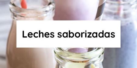 Imagen de la categoría Leches saborizadas