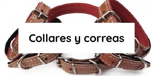 Ver productos en categoría Collares y correas