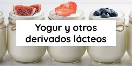 Imagen de la categoría Yogur y otros derivados lácteos