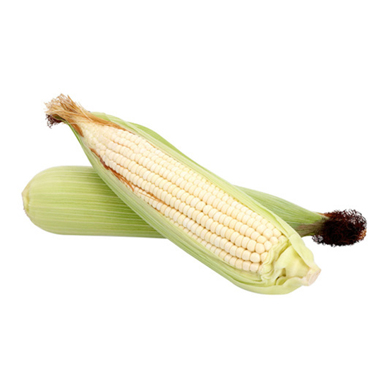 Imagen de Elote blanco