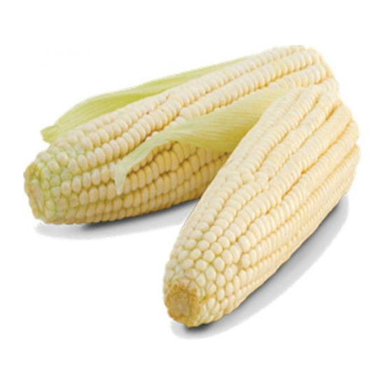 Imagen de Elote blanco especial (jumbo)