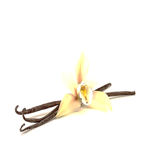 Imagen de Vaina de vainilla pz