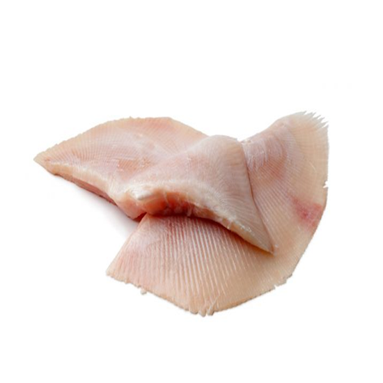 Imagen de Mantarraya sin espinas