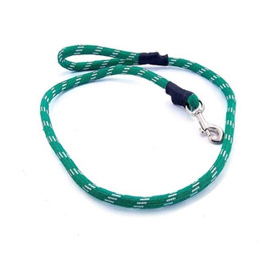 Imagen de Correa gruesa para perro tipo cordón 1.20m