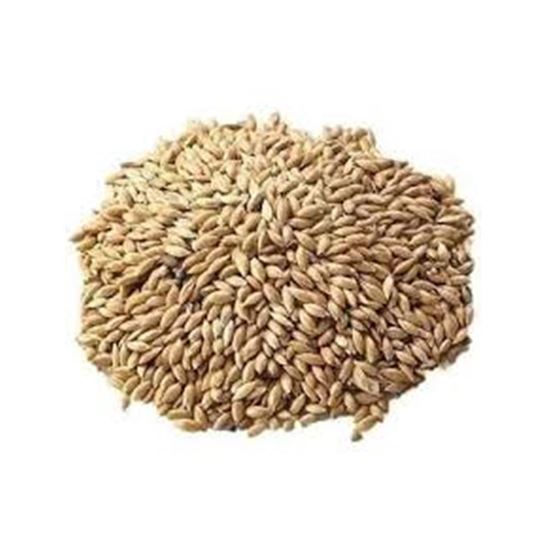 Imagen de Alpiste simple a granel costal de 25kg aprox