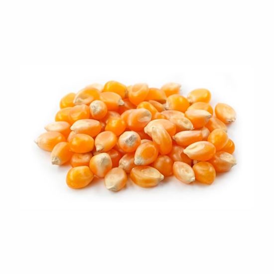 Imagen de Maíz palomero hongo a granel