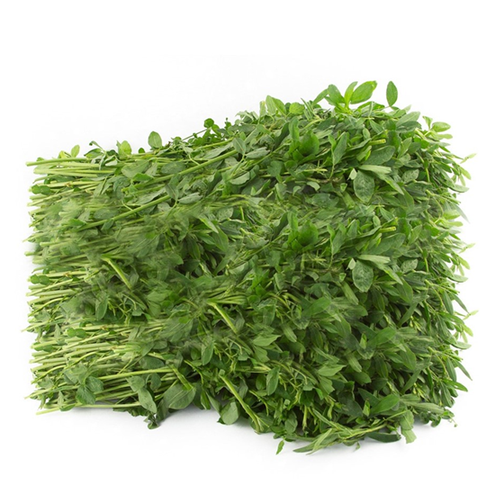Imagen de Alfalfa en manojo jumbo (1.5kg aprox.)