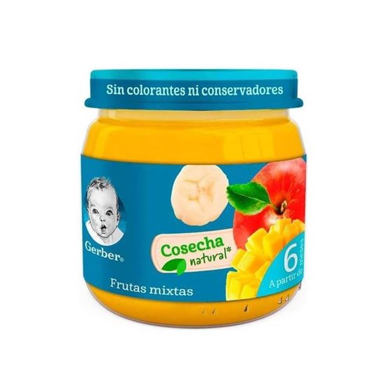 Imagen de Papilla de frutas mixtas Gerber etapa 2 100g
