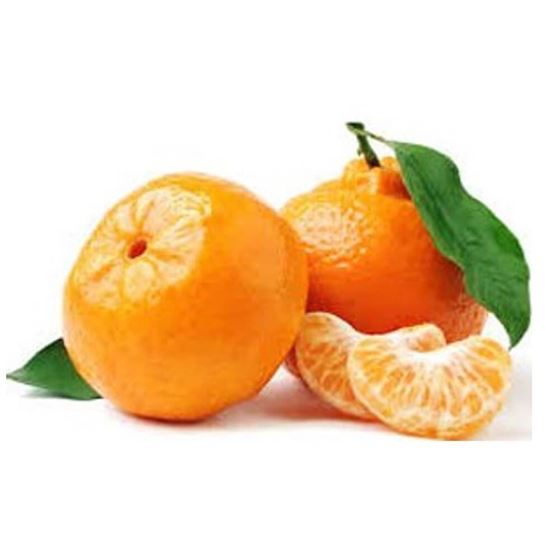Imagen de Mandarina (clementina) americana