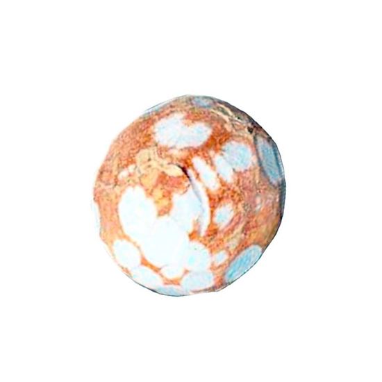 Imagen de Coco de agua pelado mediano