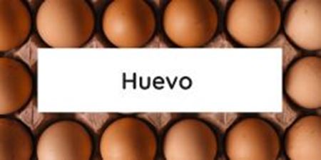 Imagen de la categoría Huevo