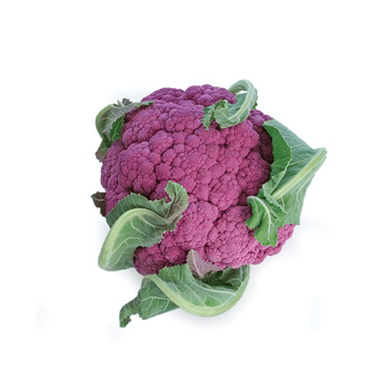 Imagen de Coliflor morada Mr. Lucky