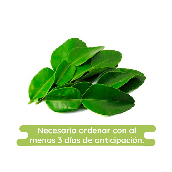 Imagen de Hoja de Lima Kaffir (hoja de Bergamota)