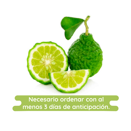 Imagen de Lima Kaffir (fruto de Bergamota)