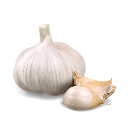 Imagen de Ajo italiano cabeza grande