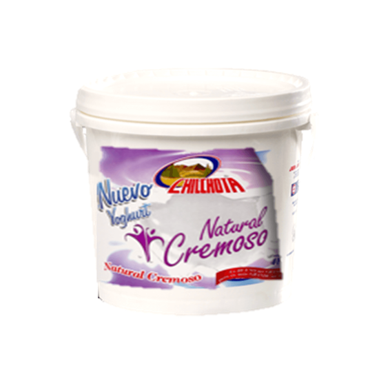 Imagen de Yoghurt natural cremoso Chilchota cubeta de 4kg